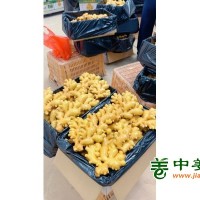 大量供应云南生姜，出口风干姜及干姜片