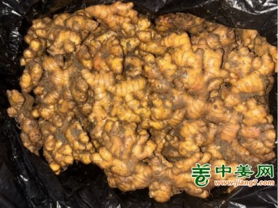 贵州地区万屯冷库姜山洞姜行求消路图1