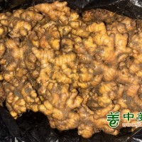 贵州地区万屯冷库姜山洞姜行求消路
