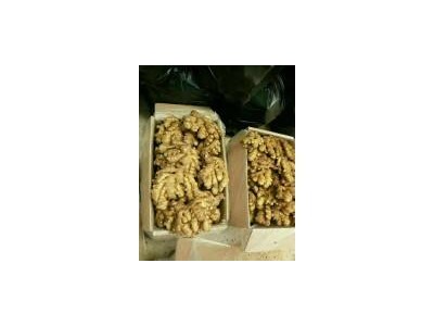 供应优质洗姜、泥姜图1