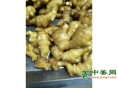 出售生姜，风干姜13176070878图1