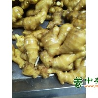 出售生姜，风干姜13176070878