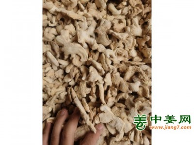 供应100吨优质干姜片图1