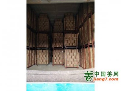 安丘大型冷库，提供各种生姜图1