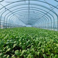 大棚预算各种保温大棚上门定做