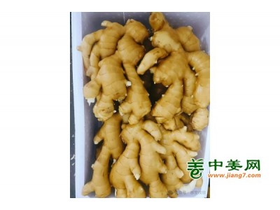 优质昌邑大姜大量有货图1